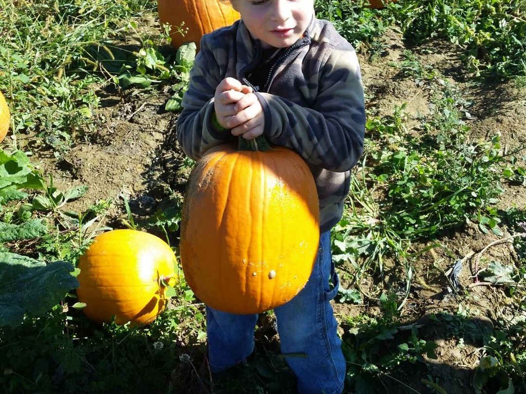 Triple B Farms-Monongahela必去景点