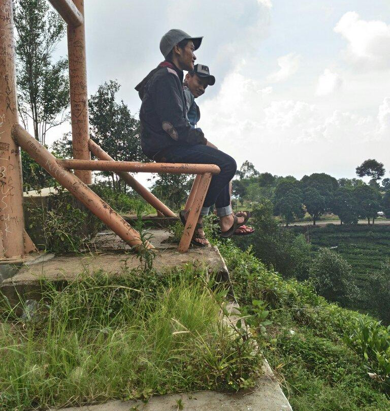 Kebun Teh Jamus (Lereng Gunung Lawu)景点图片