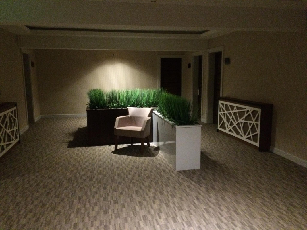 Buyuk Bayburt Hotel主图