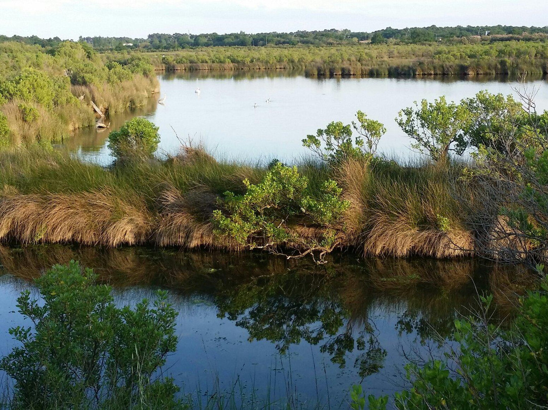 Sentier du Delta de la Leyre景点图片