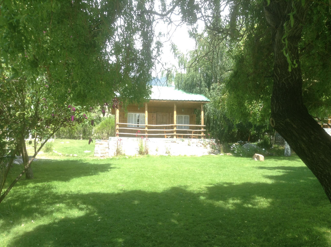 Alto Potrerillos主图