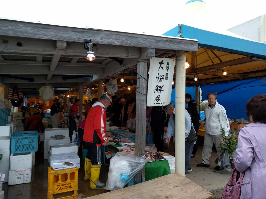 Misaki Asaichi-三浦市必去景点