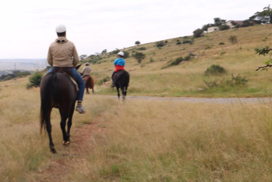 African Horse Safaris景点图片
