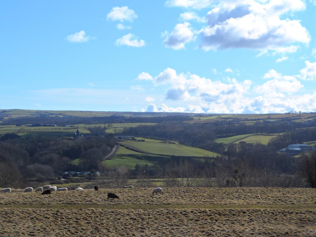 Ruswarp酒店住宿-Moor Edge B&B