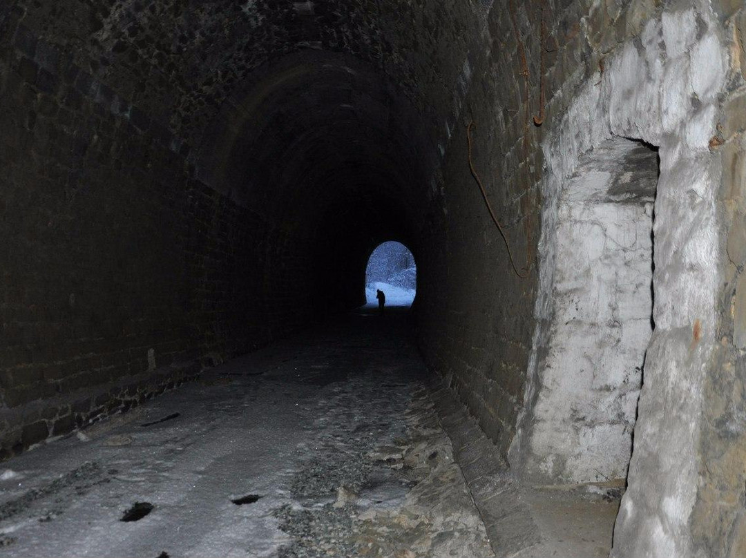 Didinskiy Tunnel景点图片