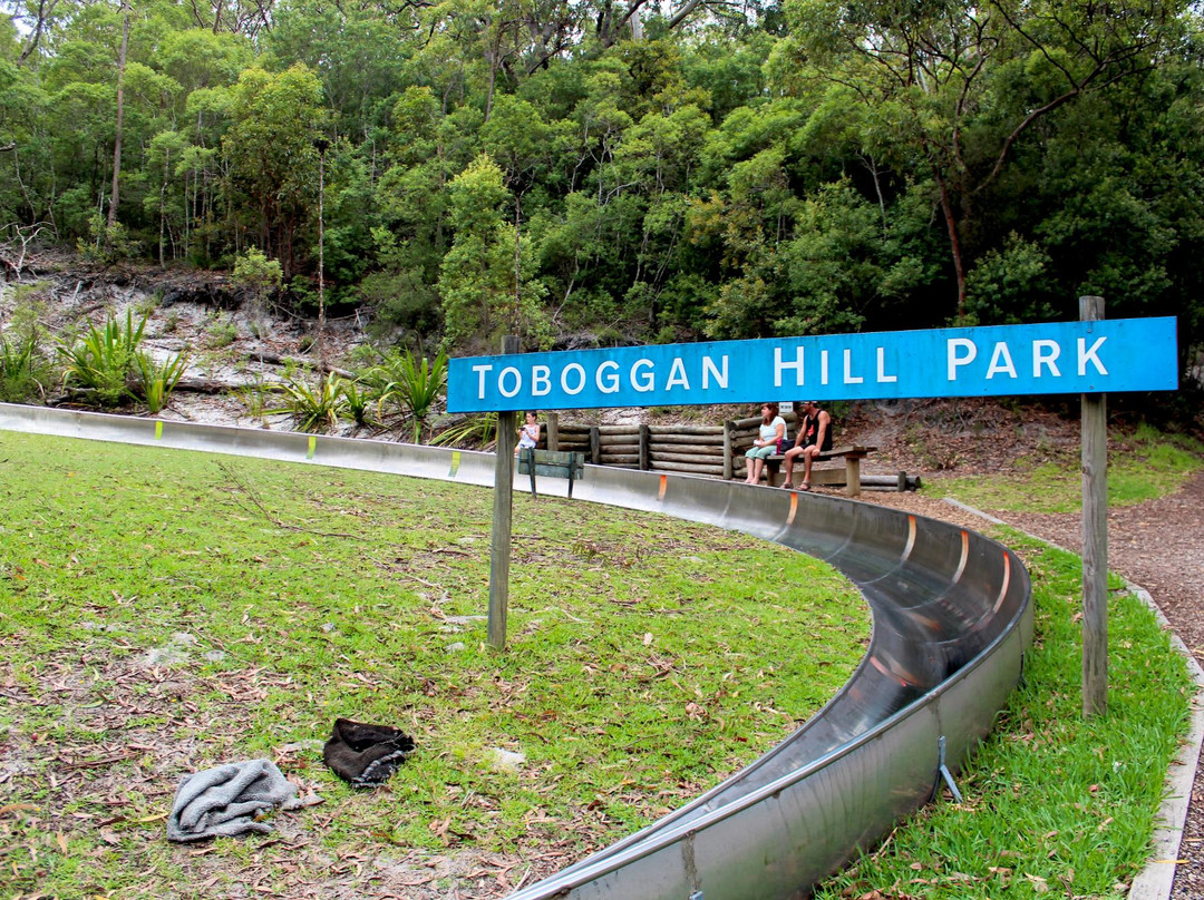 Toboggan Hill Park景点图片