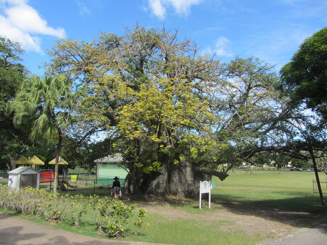 Queen's Park-布里奇顿必去景点