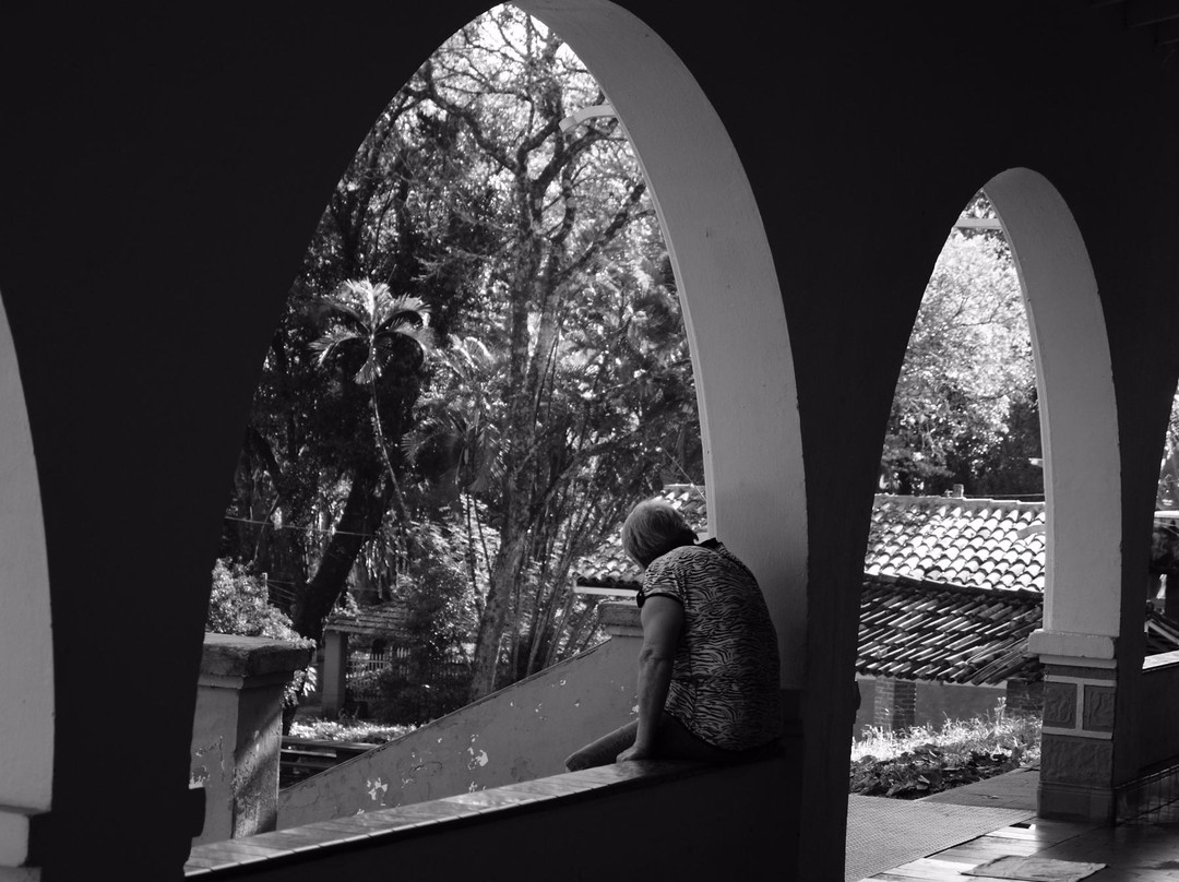 Coffee Museum景点图片