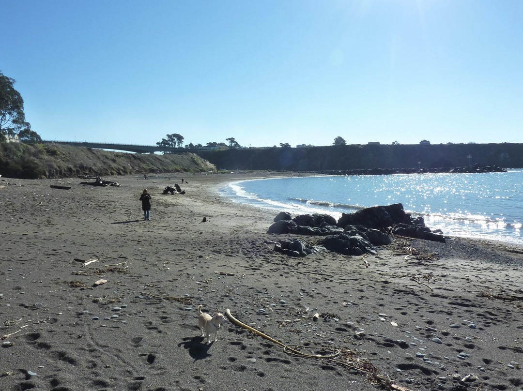 Noyo Beach景点图片