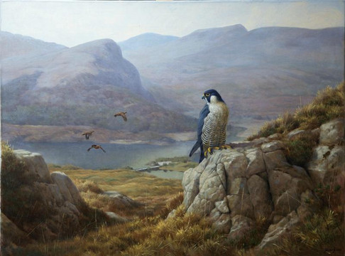 Killarney Art Gallery-基拉尼必去景点