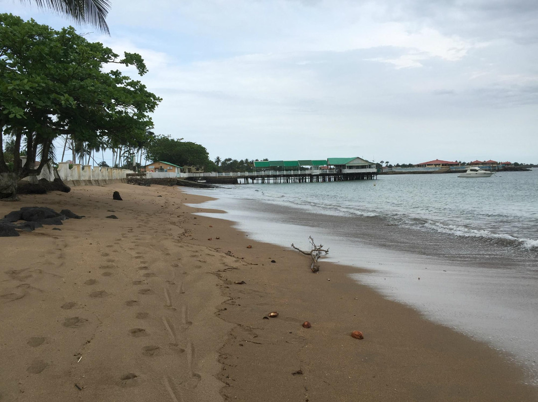 Praia Lagarto景点图片
