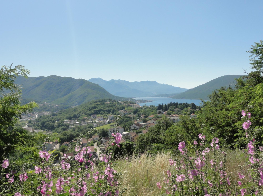 Savinska Dubrava Park景点图片