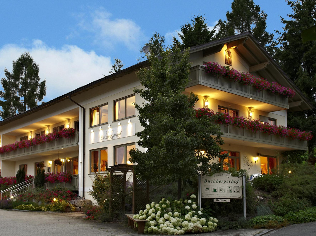 Rimbach酒店住宿-Landhotel Buchbergerhof
