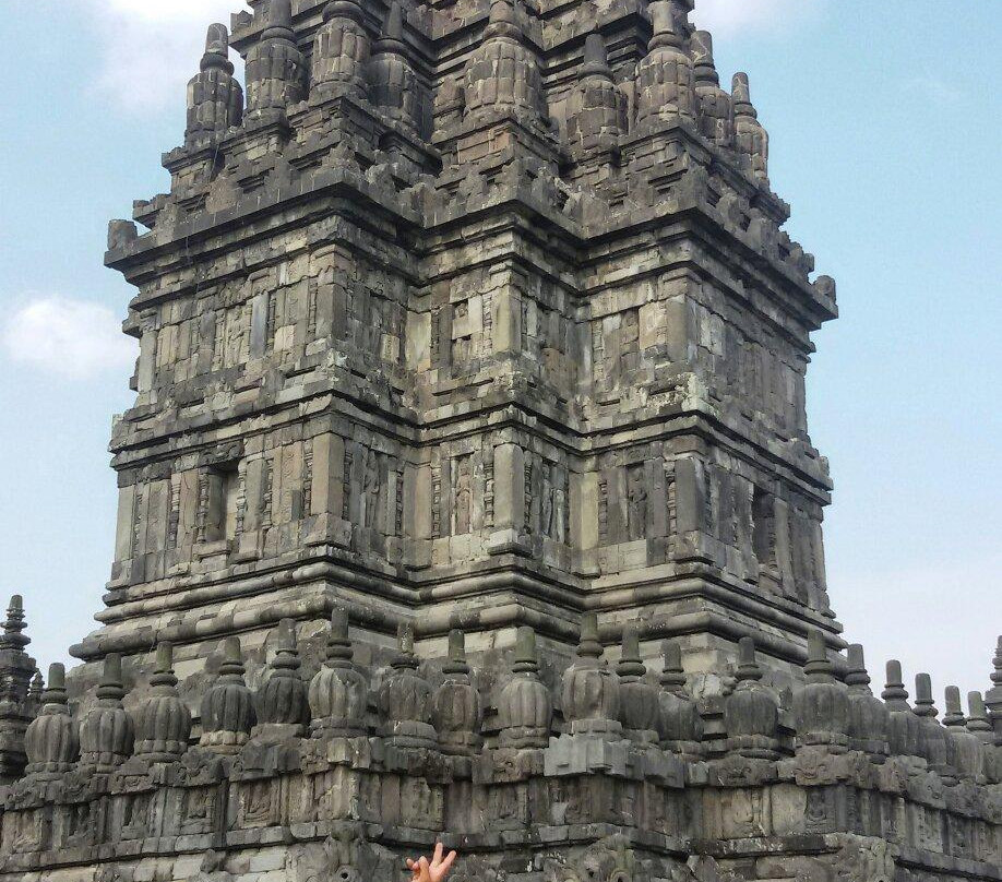 Bali Dolphin Watching Tour-登巴萨必去景点