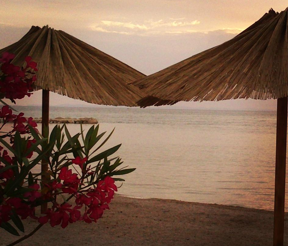 Nin酒店住宿-Aparthotel Lekavski