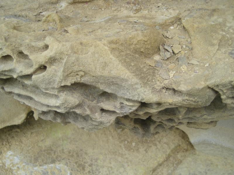 Beamer Memorial Conservation Area景点图片