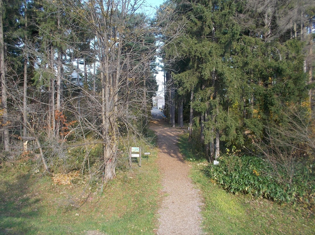 Asahikawa Forest of Foreign Tree Species-旭川市必去景点