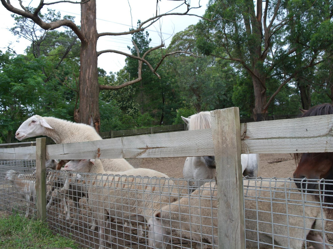 Golden Ridge Animal Farm景点图片