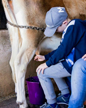Paddock to Potager-图沃柏必去景点