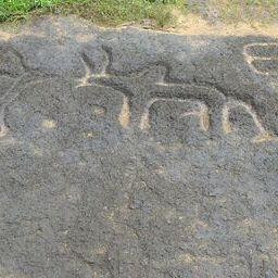 Prehistoric Rock Art Gallery-Rivona必去景点