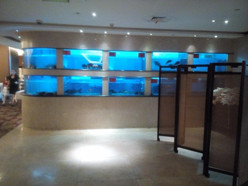 Gallery 2