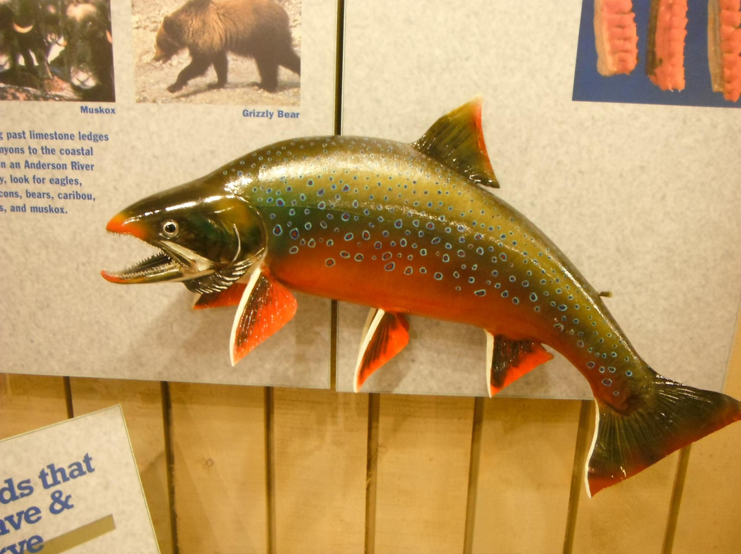 Western Arctic Regional Visitor Center-Inuvik必去景点