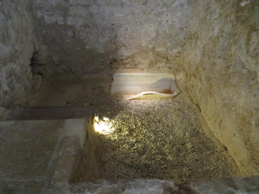 Museo Arqueologico los Baños-Alhama de Murcia必去景点