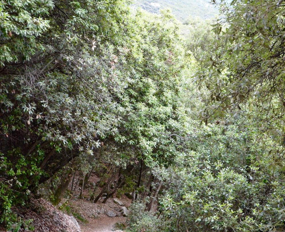 Busatte Park – Tempesta景点图片
