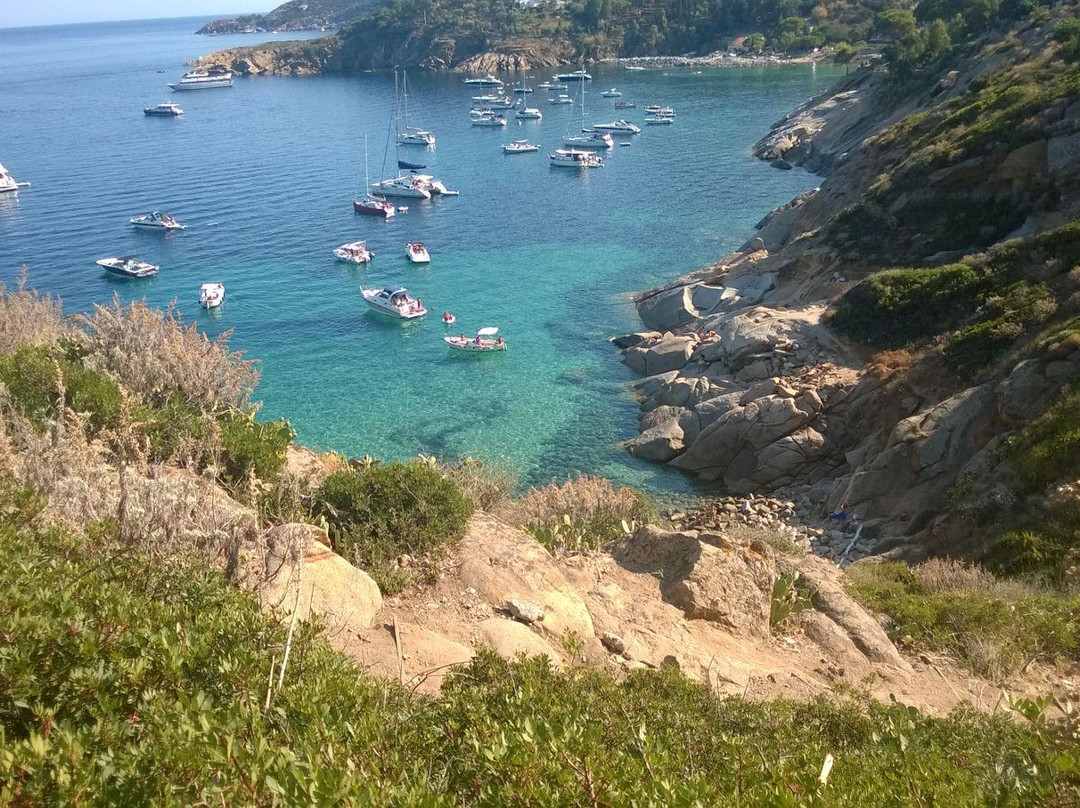 Isola del Giglio Diving Club-Isola del Giglio必去景点