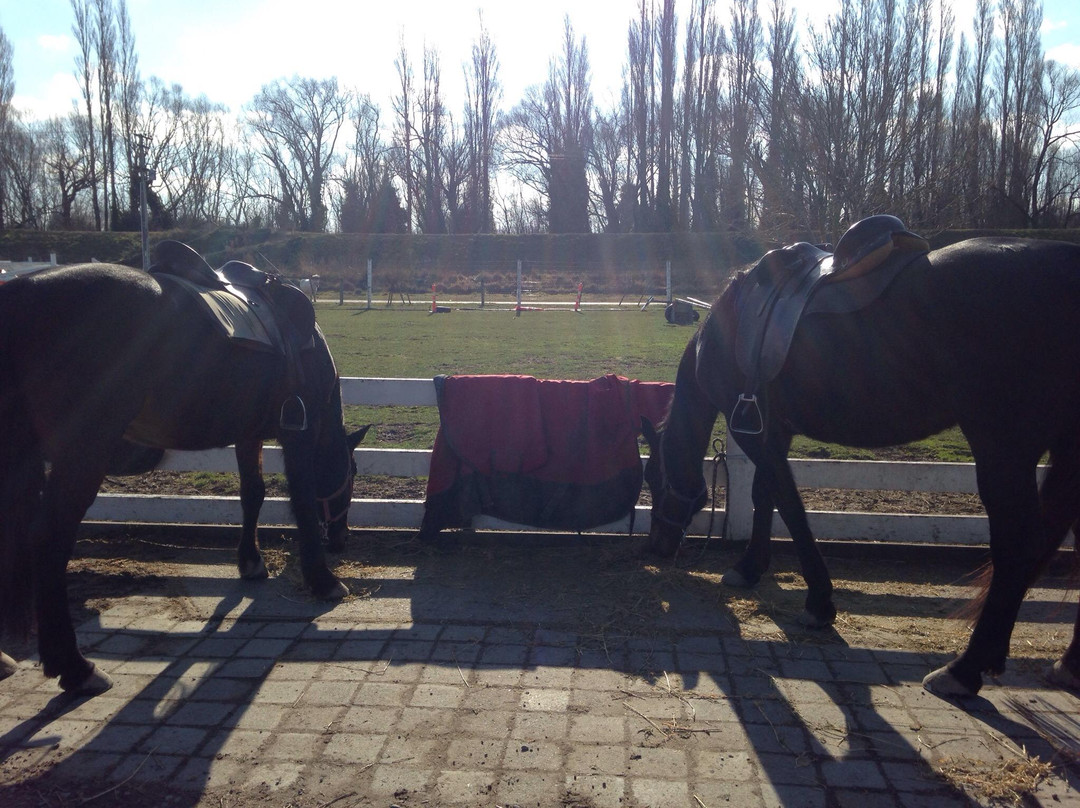 Waimak River Riding Centre Limited-基督城必去景点