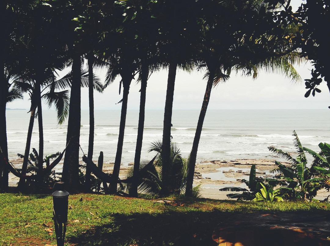 Surfer's Garden Panama