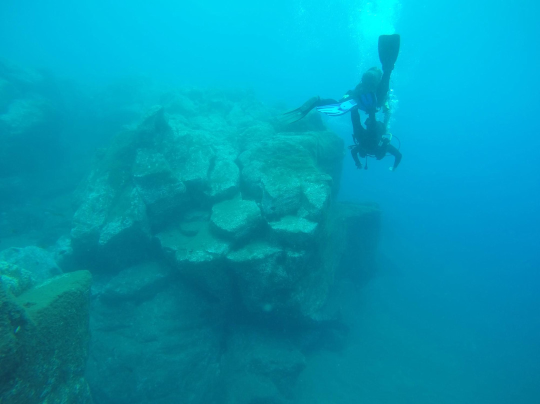 Madeira Diving Center-Canico必去景点