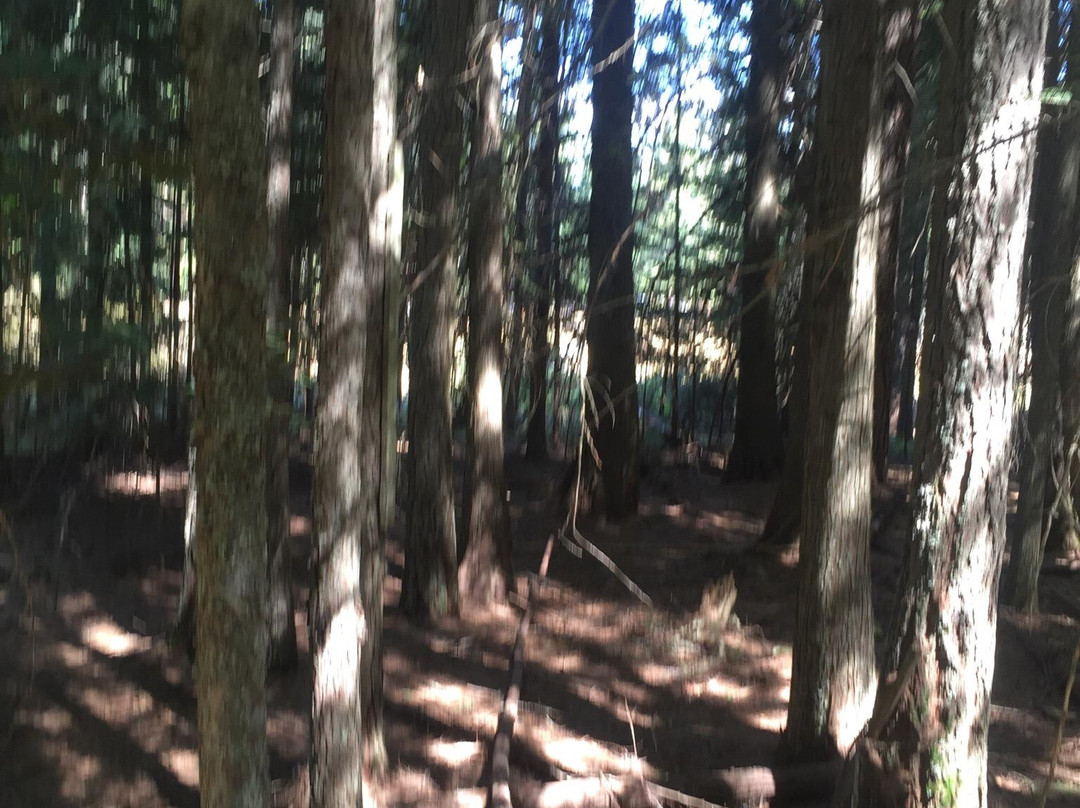 Kootenai National Wildlife Refuge-Bonners Ferry必去景点