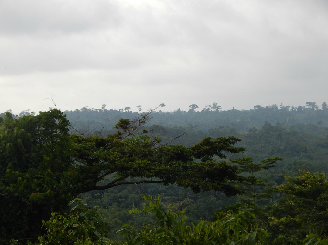 Monkey Forest Resort-Cape Coast必去景点