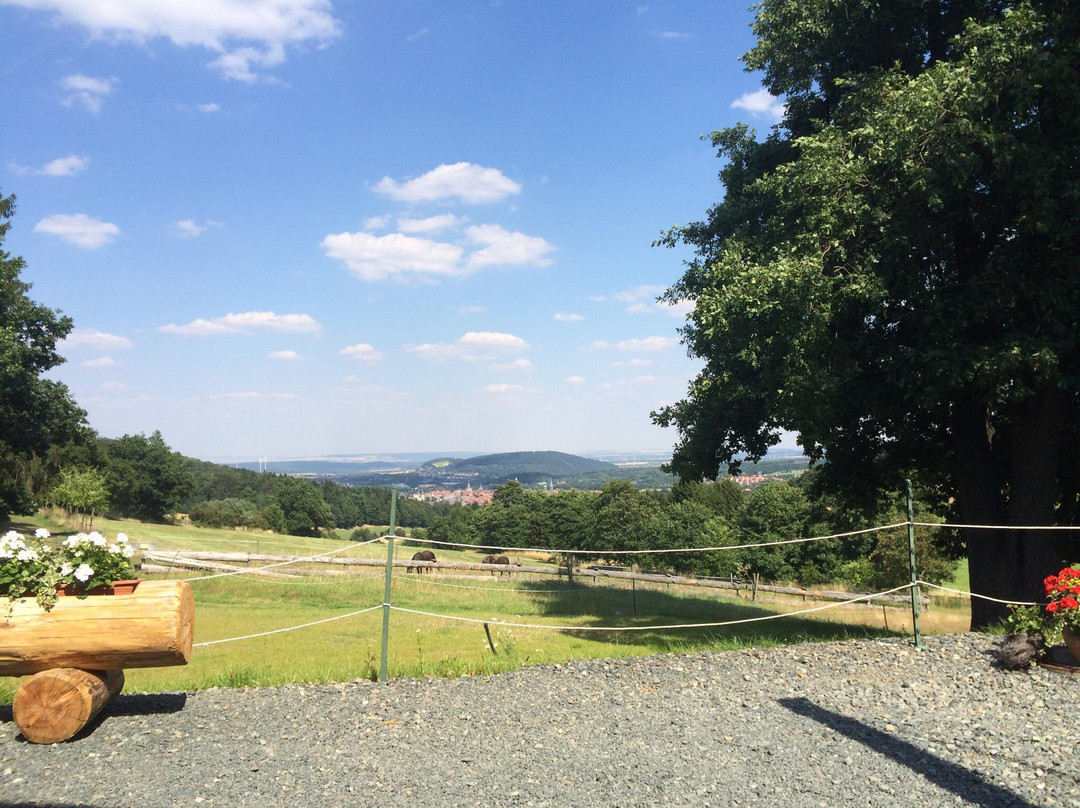 Wolfshagen im Harz餐馆和美食-Steinberg Alm Zum Rosner