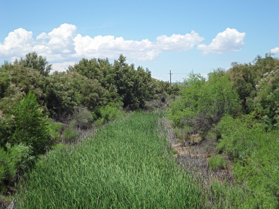 Mesilla Valley Bosque State Park-Mesilla必去景点