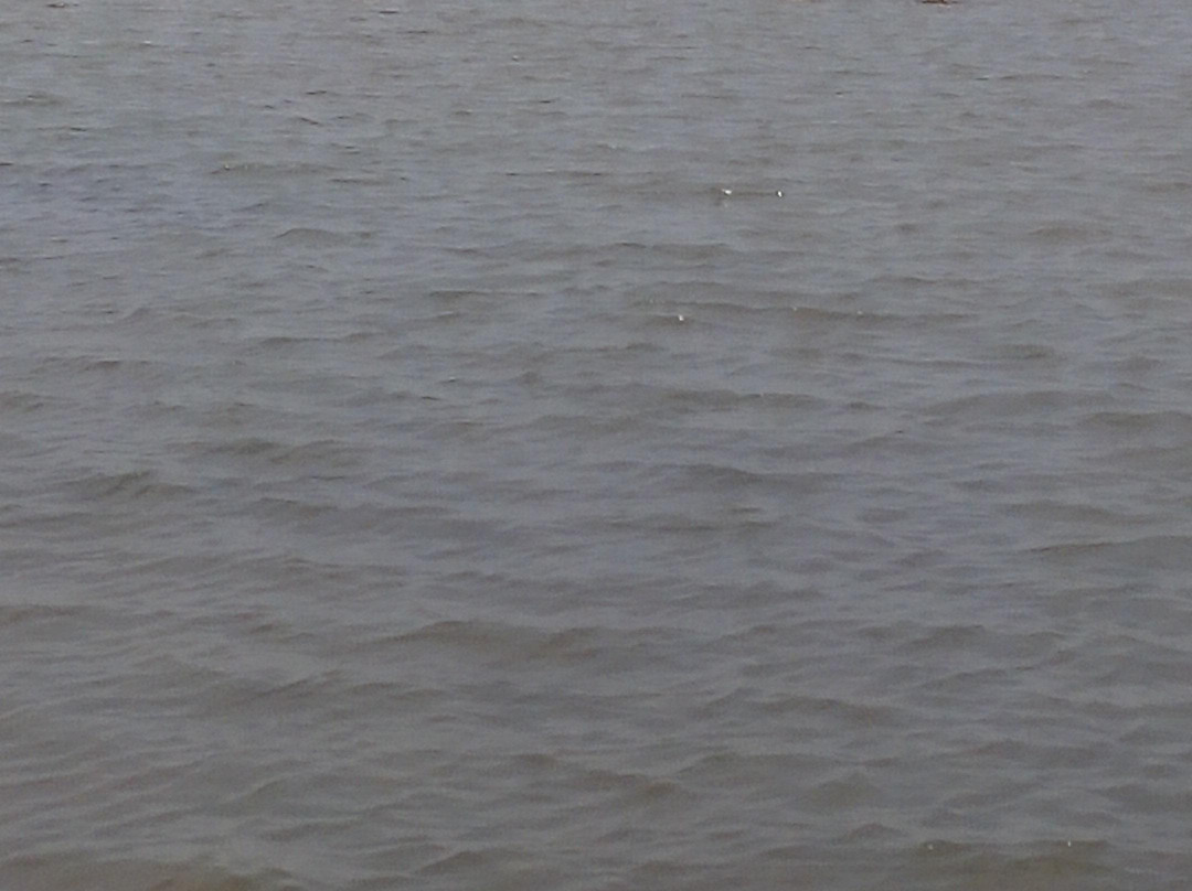 Kabirvad景点图片