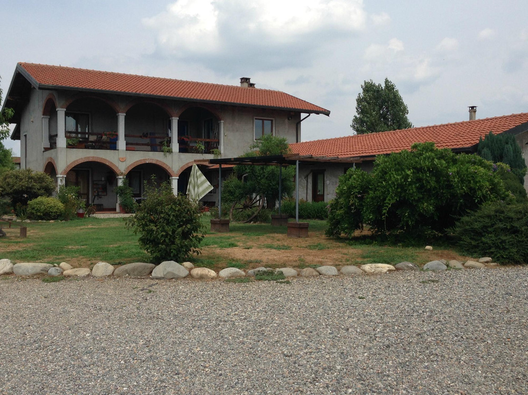 Azienda Agricola Cascine Bellini