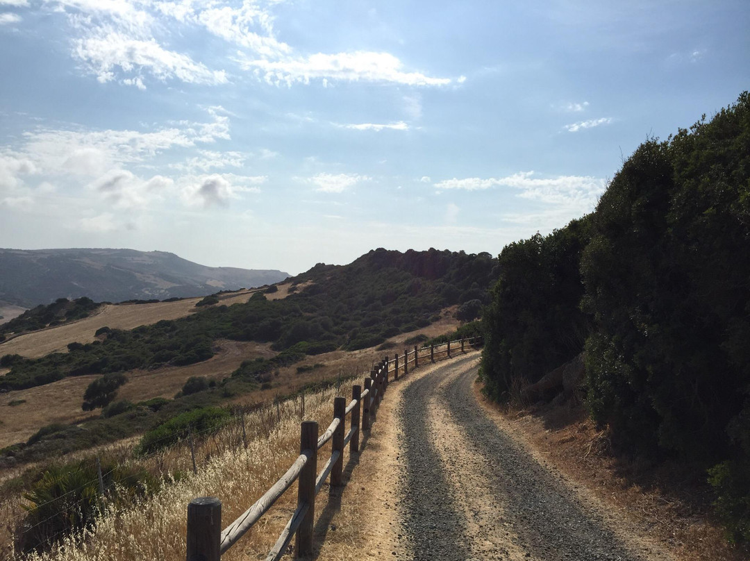Muraglia e Villaggio Nuragico di Monte Elias-Tergu必去景点