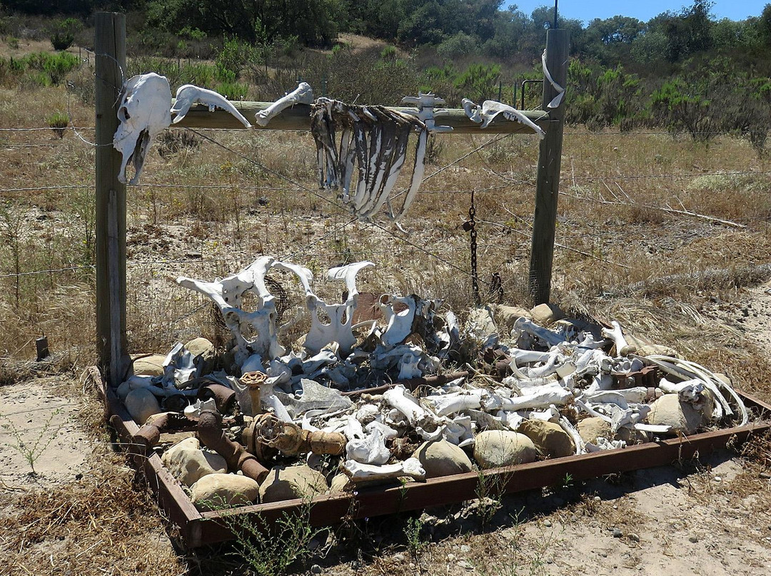 Los Flores Ranch Park-圣玛丽亚必去景点