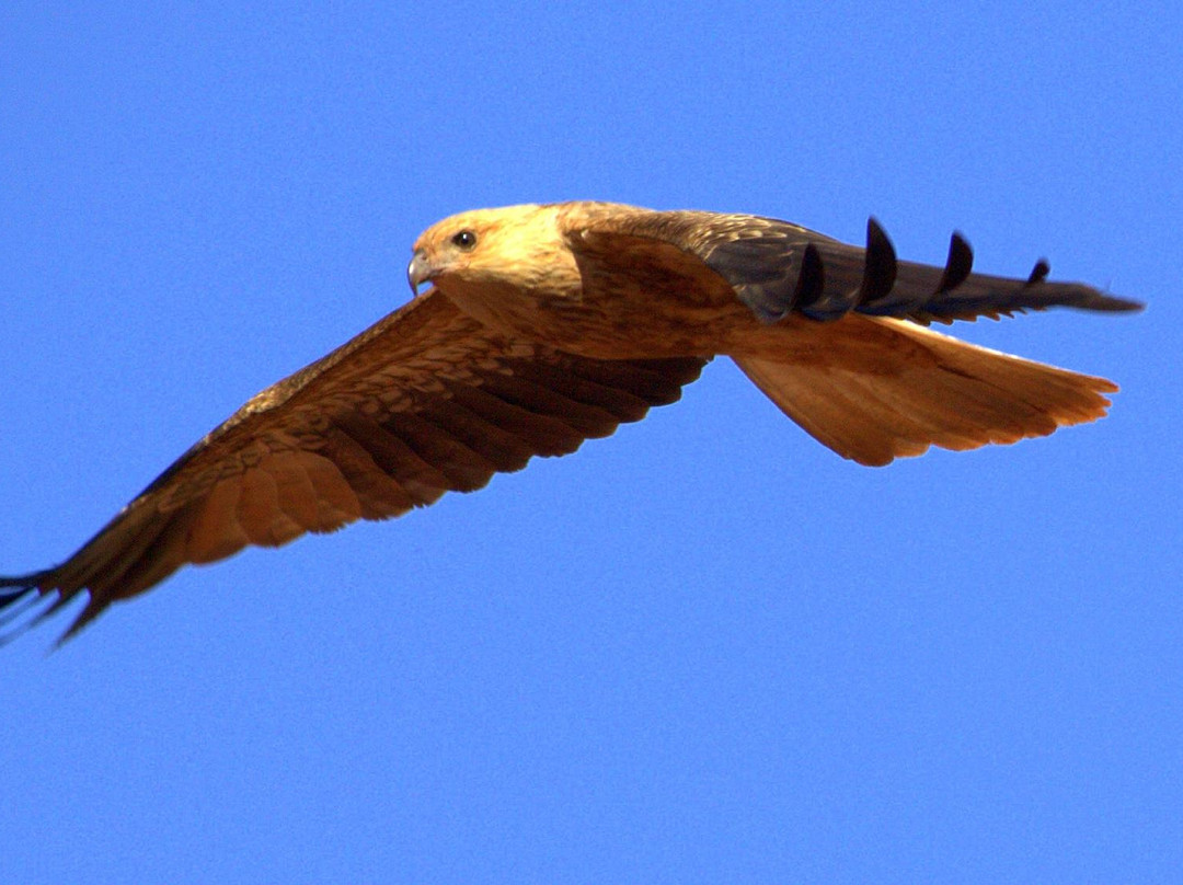 Newman Visitor Centre-Newman必去景点