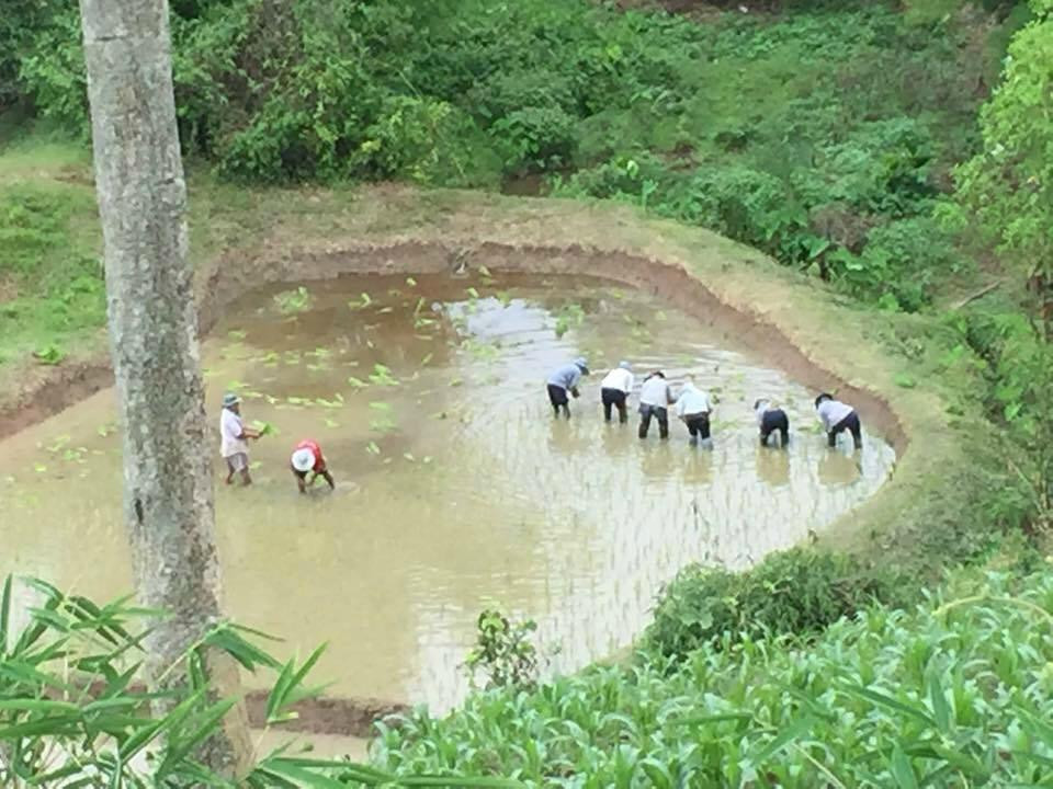 Suantangja Travel - Private Day Tours-清莱必去景点