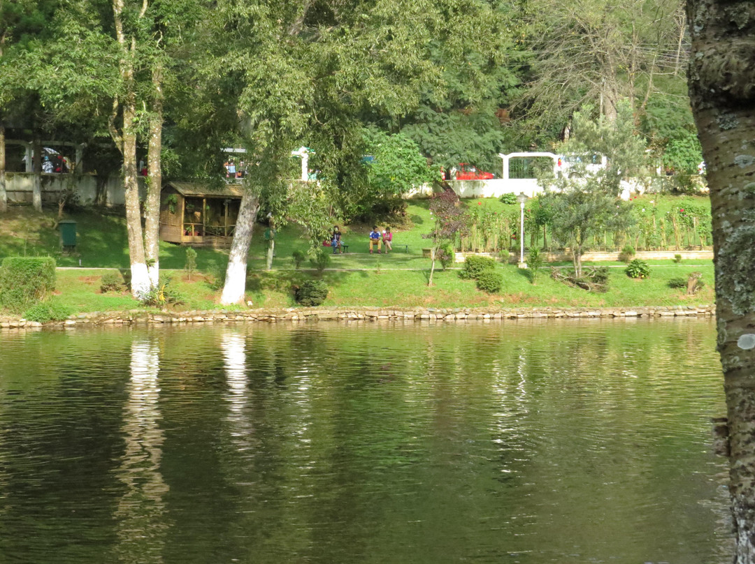 Ward's Lake景点图片