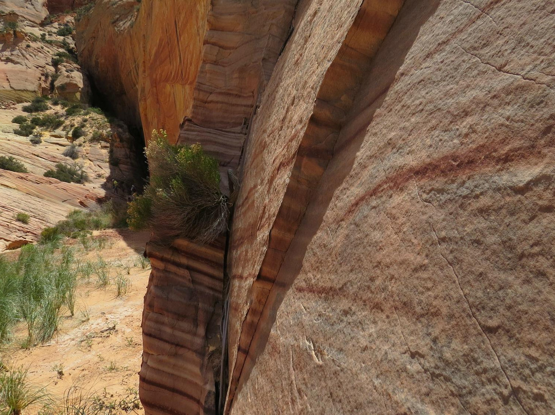 Big Horn Canyon景点图片