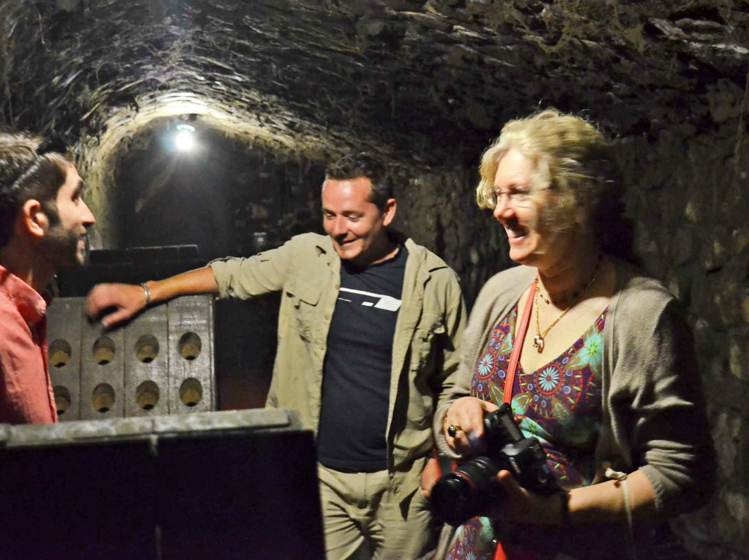 Adamastor & Bacchus - Tours-开普敦中心区必去景点