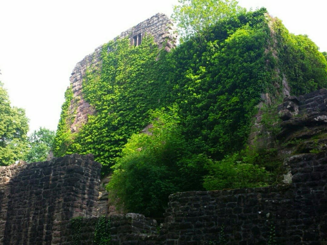 Castle Waldeck景点图片