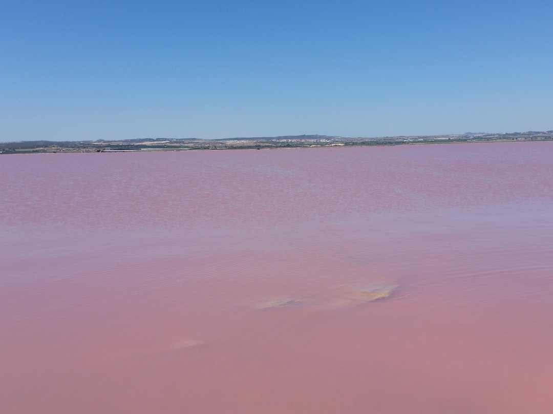 Las Salinas de Torrevieja景点图片