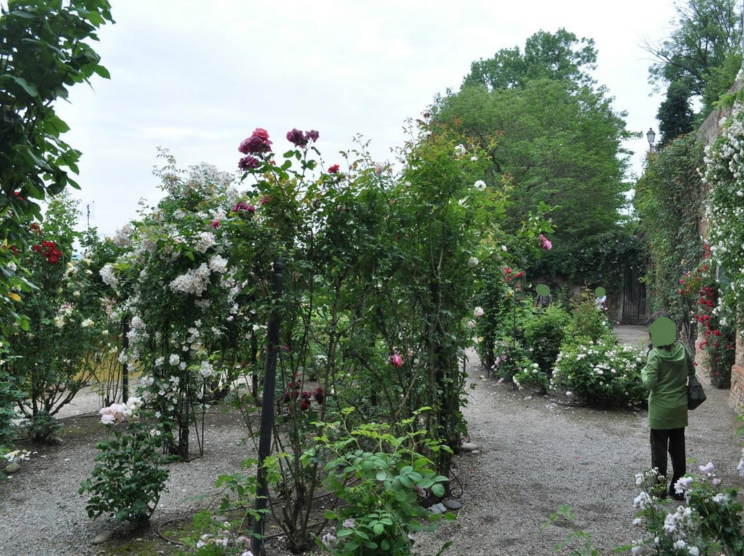 Il  Roseto景点图片