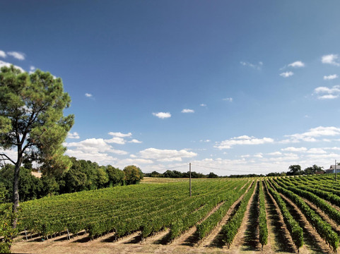 Noulens旅游攻略图片