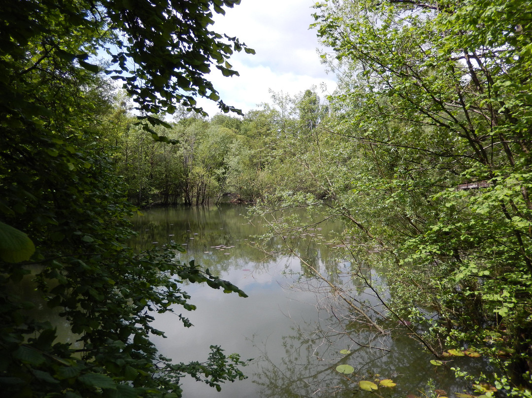 Parc de Fouchy景点图片